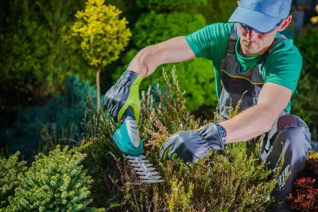 landscaping services Plattsburgh